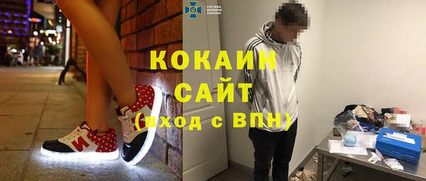ПСИЛОЦИБИНОВЫЕ ГРИБЫ Баксан