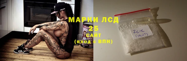 ПСИЛОЦИБИНОВЫЕ ГРИБЫ Баксан